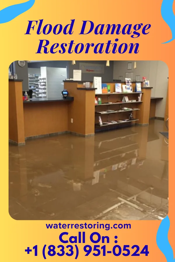 Flood Damage Restoration in Tower City, ND