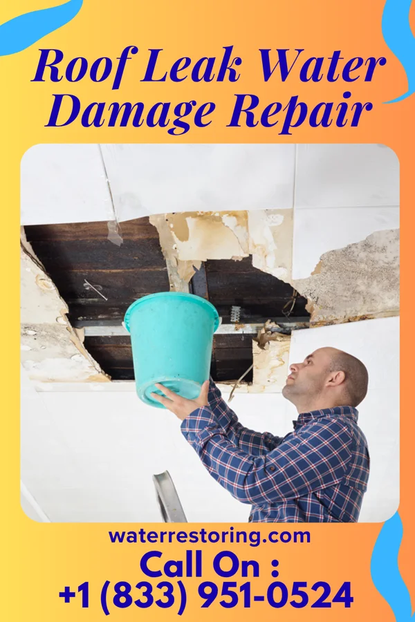 Roof Leak Water Damage Repair in Tower City, ND