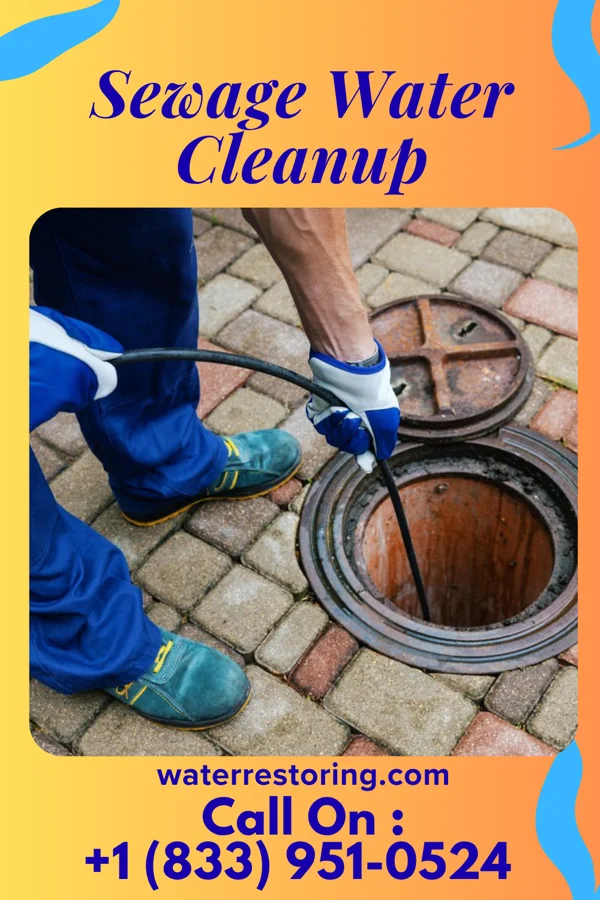 Sewage Water Cleanup in Tower City, ND